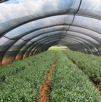 White Shade Netting White Shade Netting