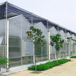 8 ملی میٹر پولی کاربونیٹ گرین ہاؤس