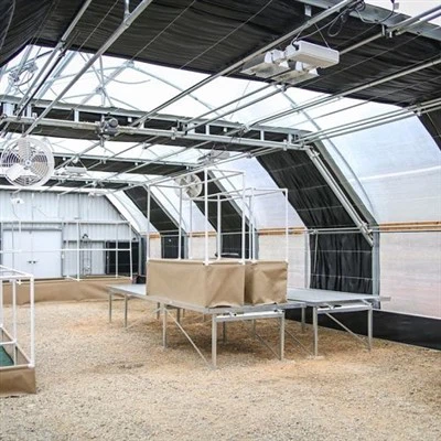 کمرشل لائٹ ڈیپریوشن گرین ہاؤس